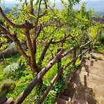 Casa Mantel Panoramic View In Langhe Casa vacanze Novello
