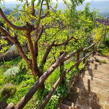 Casa Mantel Panoramic View In Langhe Prázdninový dům Novello