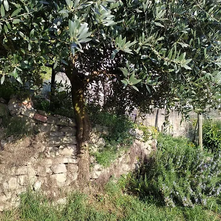 Casa Mantel Panoramic View In Langhe *