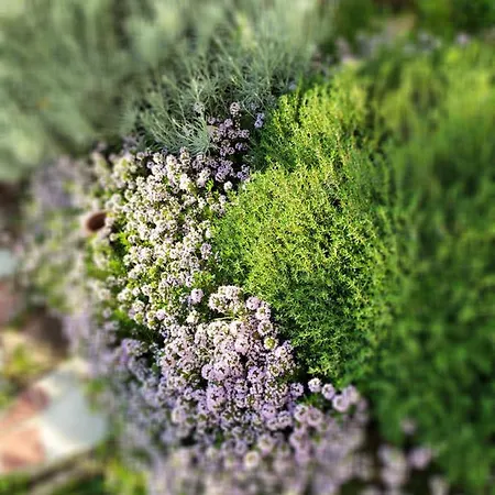Casa Mantel Panoramic View In Langhe Vakantiehuis Novello