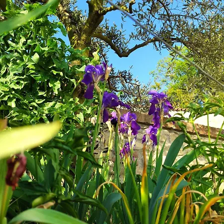 Casa Mantel Panoramic View In Langhe *
