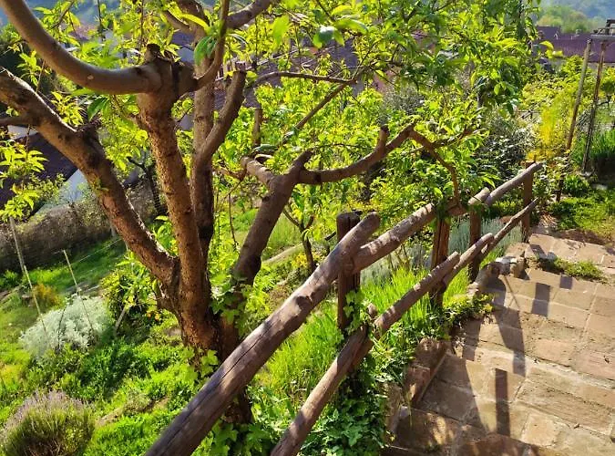 Casa Mantel Panoramic View In Langhe Feriehus Novello