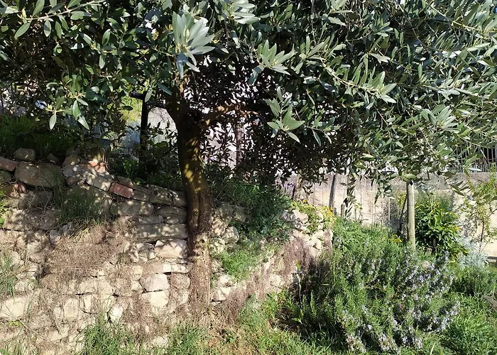 Casa Mantel Panoramic View In Langhe *
